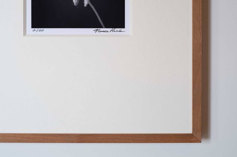Original Figurative Botanic Photography by Francesco Mussida