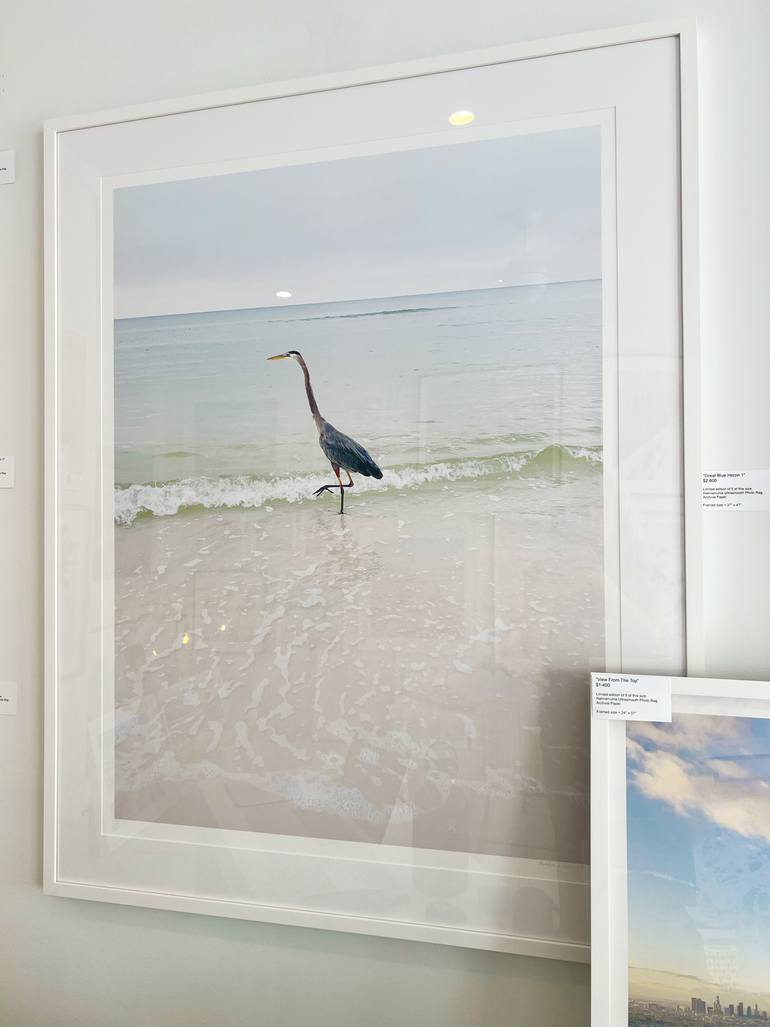 Original Contemporary Animal Photography by Brooke Wilen