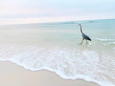 Original Pop Art Beach Photography by Brooke Wilen