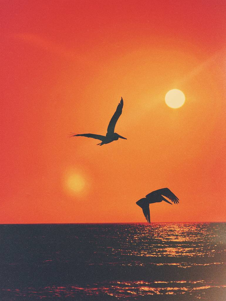 Original  Photography by brooke wilen