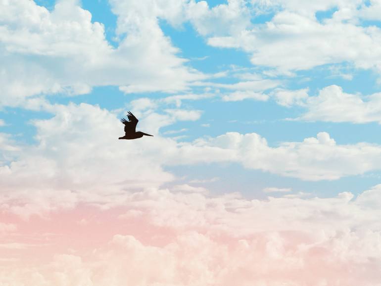 Original  Photography by brooke wilen