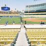 Collection Dodger Stadium