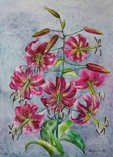 Print of Floral Paintings by Elena Shichko