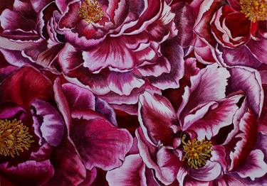 Print of Fine Art Floral Drawings by Olena Horbatenko