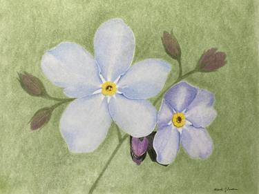 Original Fine Art Floral Drawings by Amanda Luschin von Ebengreuth