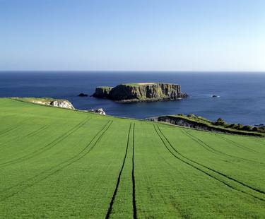 Green field and deep blue ocean thumb