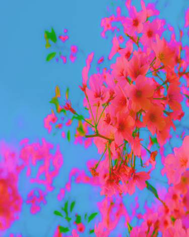 sakura flowers, oil painting on canvas, flower painting thumb