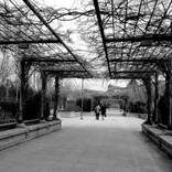 Lovers Lane by Claudia Silva