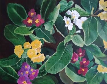 Print of Floral Paintings by Lyudmyla Malliaras