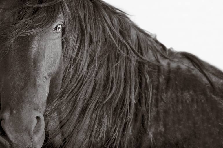 The Face of Resilience - Limited Edition of 100 Original Photography by maria marriott