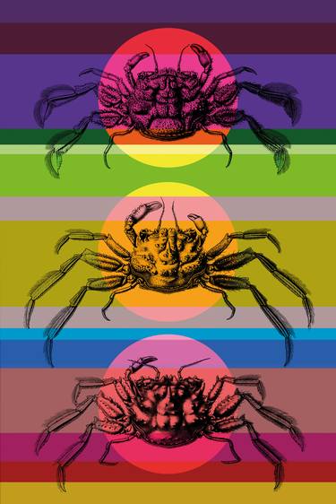 Three Decapod crabs, Sea Monsters series - Limited Edition of 10 thumb