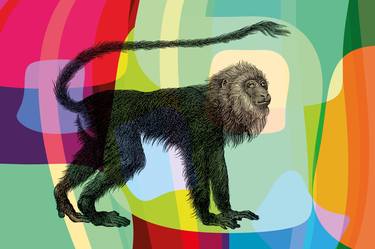 Monkey, Zoology series - Limited Edition of 10 thumb