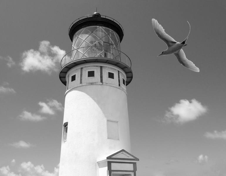The Black and White Collection 34 — Photography