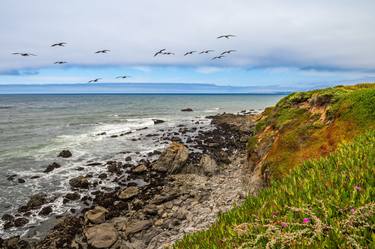 Coastal Flight thumb