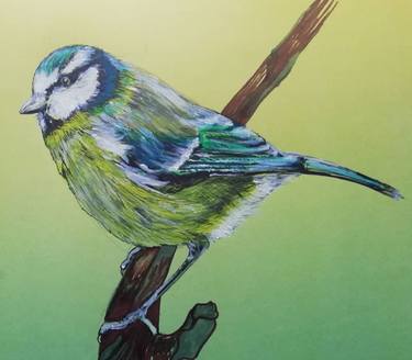 Original Expressionism Animal Drawings by Katrina Tuohy