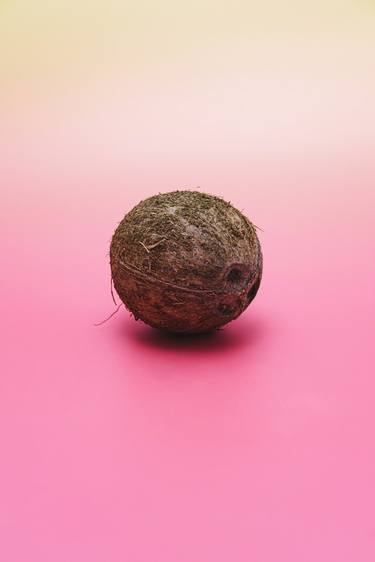 Saatchi Art Artist Katya Havok; Photography, “The Coconut - Limited Edition of 10” #art