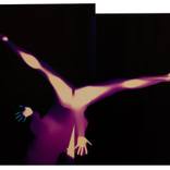 untitled #14 by natasha papadopoulou