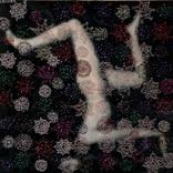 Flip by Melissa Zexter