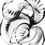Collection Artwork for Your Gallery Wall 