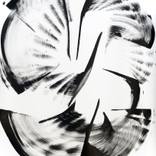 Collection Jamie Yang