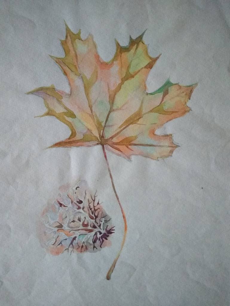 maple leaf, moss Drawing by Alexandra Novikova | Saatchi Art