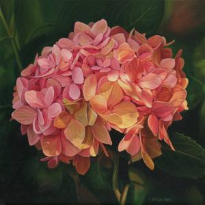 Hydrangea flowers original oil painting