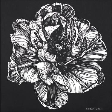 Tulip Botanical Illustration. Original Hand-Cut Artwork thumb