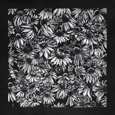 Echinacea Black and White Floral Illustration thumb