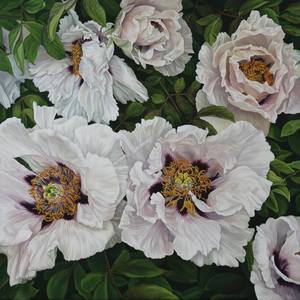 White Peonies Oil Painting on Canvas. Flowers. Botanical
