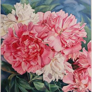 peonies watercolor painting