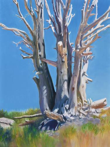 Original Tree Painting by Nancy Cicchetti