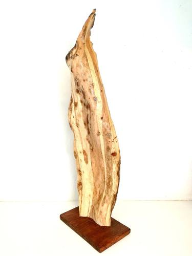 Original Expressionism Abstract Sculpture by Daniela Quadrelli