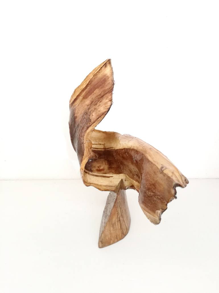 Original Abstract Nature Sculpture by Daniela Quadrelli