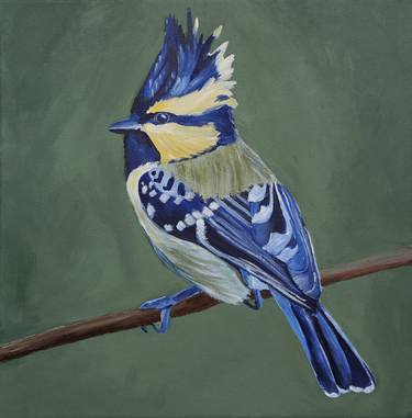 Original Animal Paintings by Svetlana Saratova