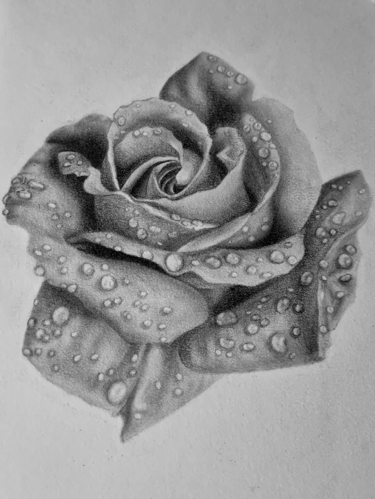 water drop on flower drawing