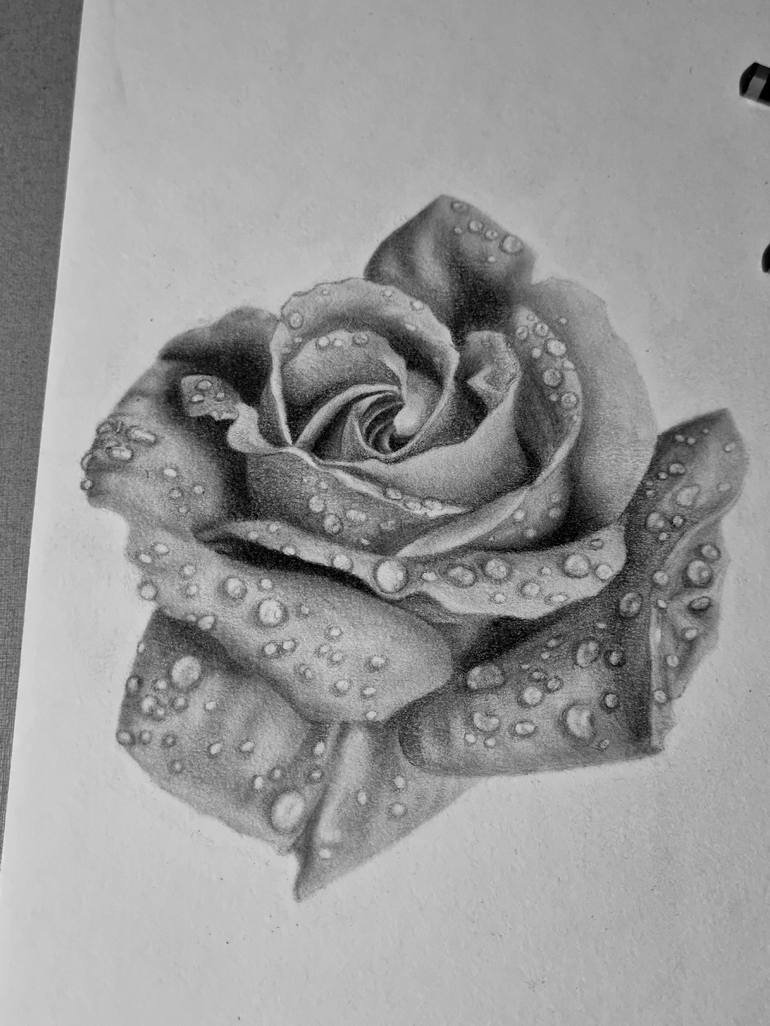 Another Rose Drawing by Luiz Otavio | Saatchi Art