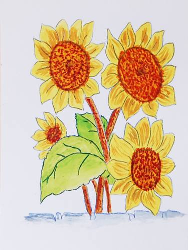 Original Illustration Floral Paintings by kenneth Marsden