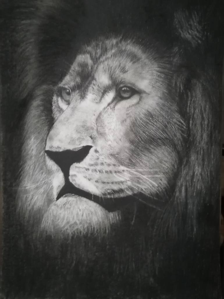 lion king sketch