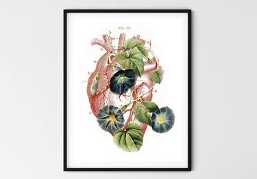 Print of Conceptual Floral Collage by Lampavbokue Severe