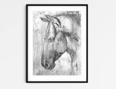 Print of Horse Drawings by Lampavbokue Severe