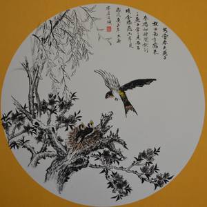 Collection Seasonal Changes: Spring Ahead
