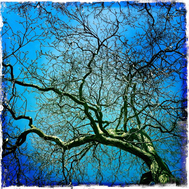 Original Other Nature Photography by Alessandro Durso