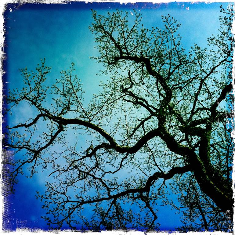 Original Other Nature Photography by Alessandro Durso