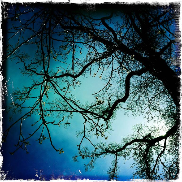 Original Other Nature Photography by Alessandro Durso