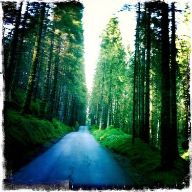 group of 4 photographs named "roads in the Swedish forest"" - Limited Edition of 5 thumb