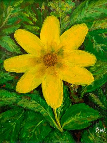 Original Fine Art Nature Paintings by Peter Wright