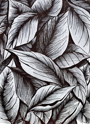 Original Contemporary Botanic Drawings by Maria Tuzhilkina