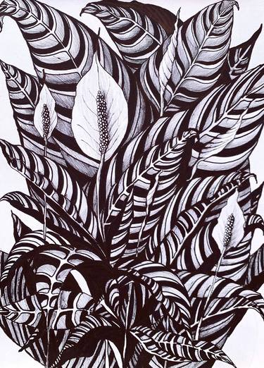 Print of Illustration Botanic Drawings by Maria Tuzhilkina