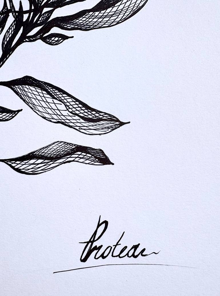 Original Graphics And Animation Botanic Drawing by Maria Tuzhilkina