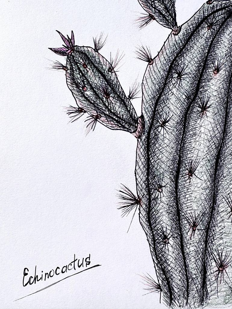 Original Illustration Botanic Drawing by Maria Tuzhilkina